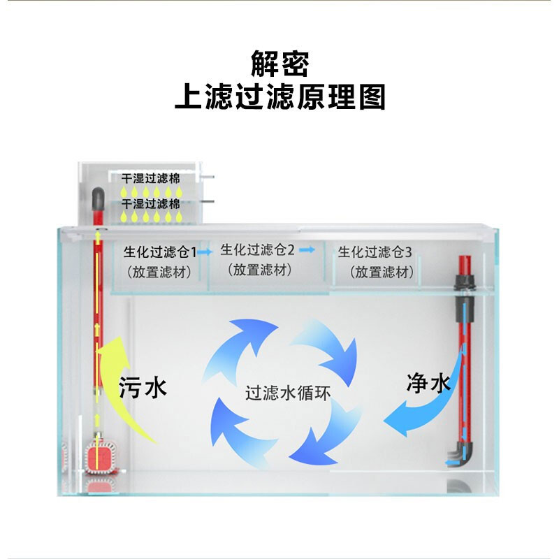 上濾、底濾組合缸